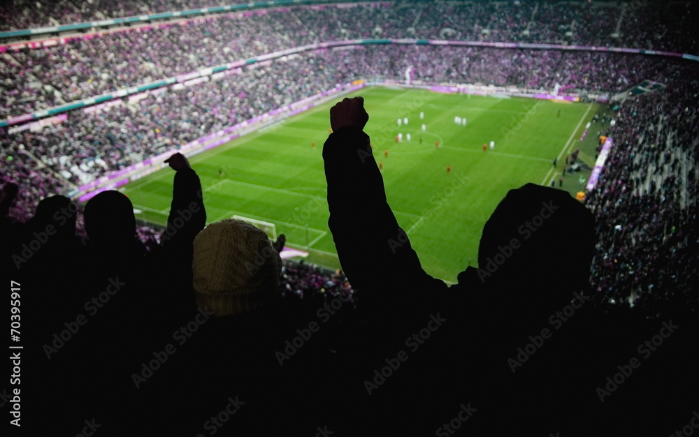 Fototapeta premium stadion cheer people