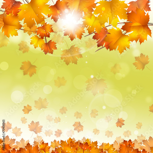 Autumn Yellow Leaves Bright Background