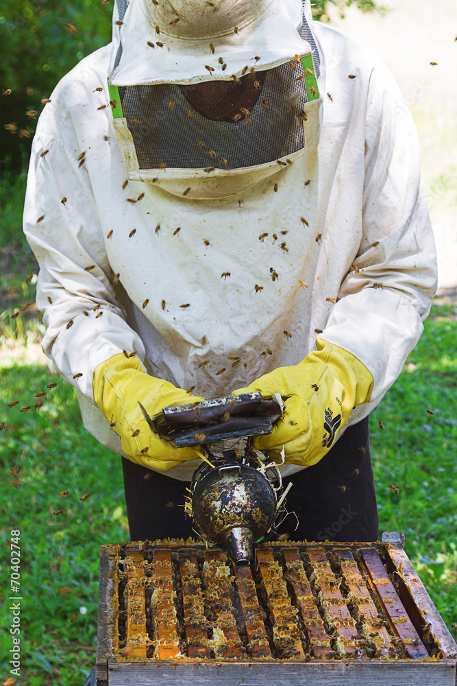 Apiculture Apiculture
