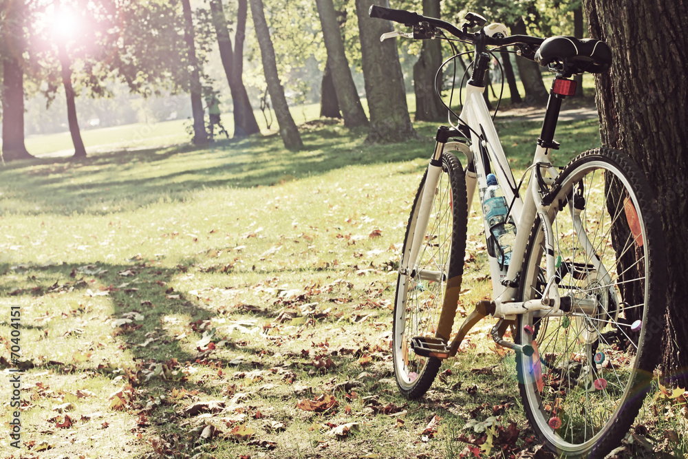 Fototapeta premium Vintage bicycle waiting near tree