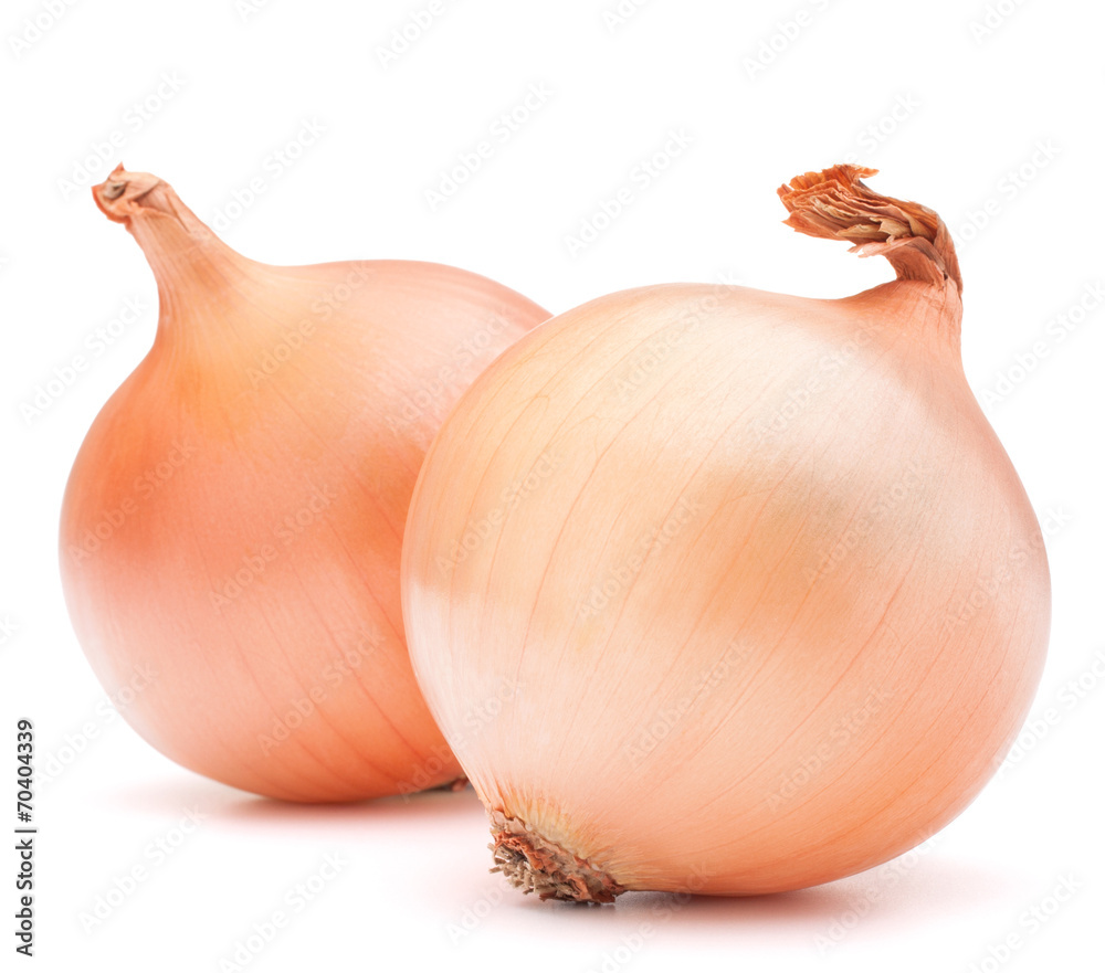 Fototapeta premium Gold onion vegetable bulbs
