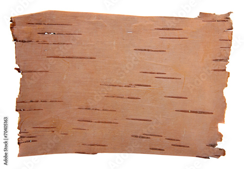 Foto birch bark isolated on a white background