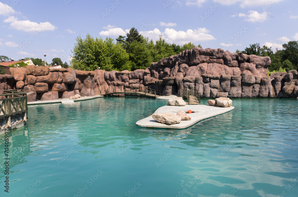 Fototapeta premium terrarium