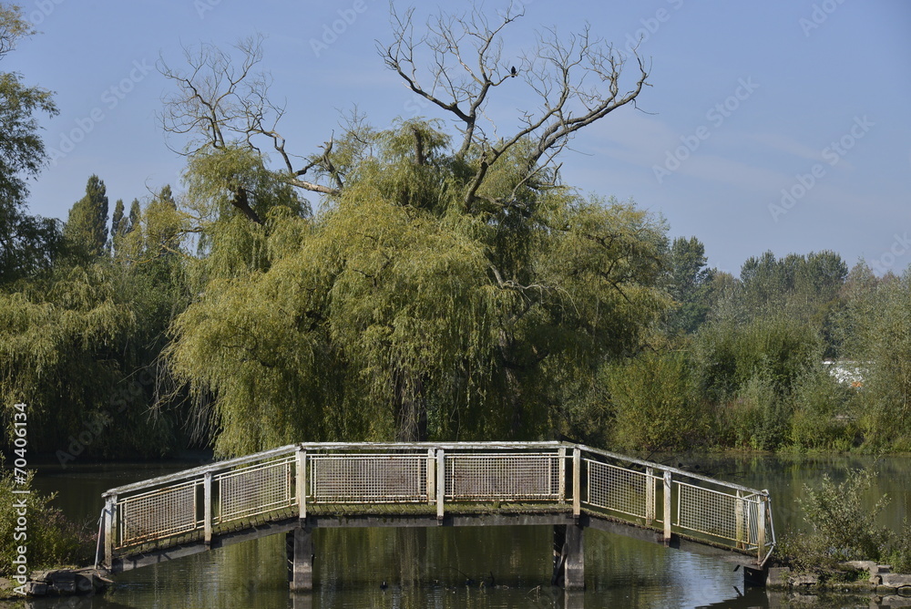 Le pont pourri devant un arbre mort à Hofstade