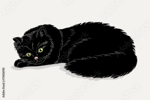 Black cat on a white background. Vector illustrations