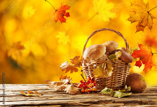 Ceps on wooden table photo