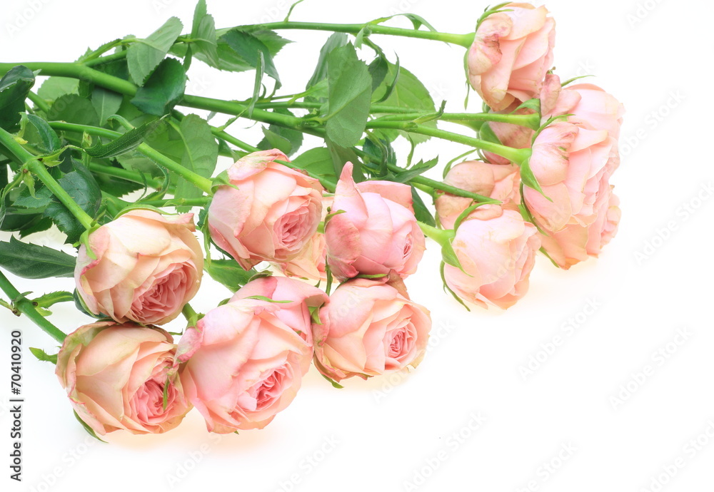 薔薇の花束