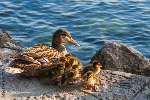 primo tuffo della vita
