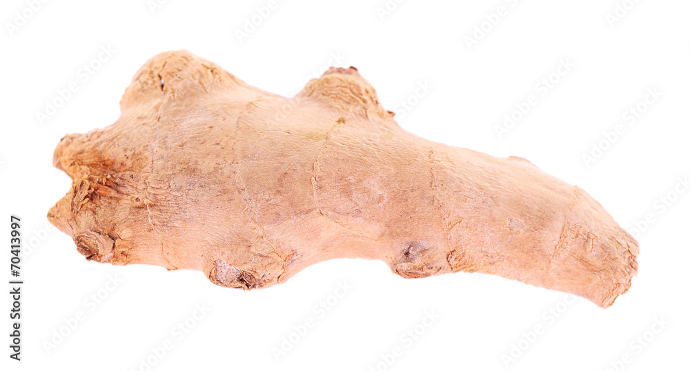 Ginger root isolated on white