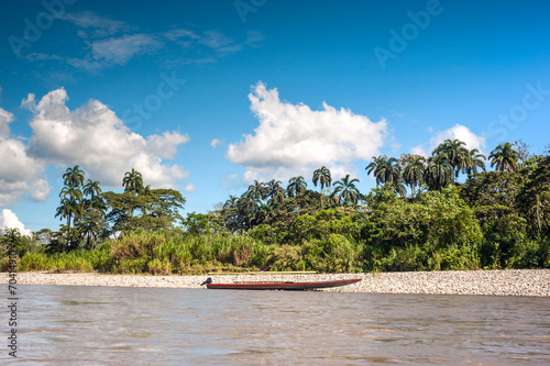 Amazonian rainforest. Napo River. Ecuador photo
