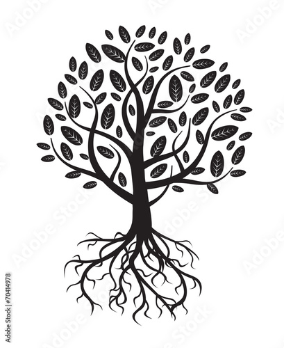 black vector tree and roots