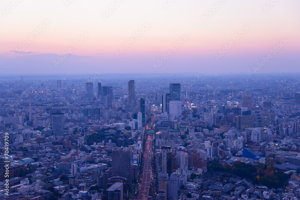 Naklejka premium Tokyo in the twilight, direction to Shibuya, Shinjuku