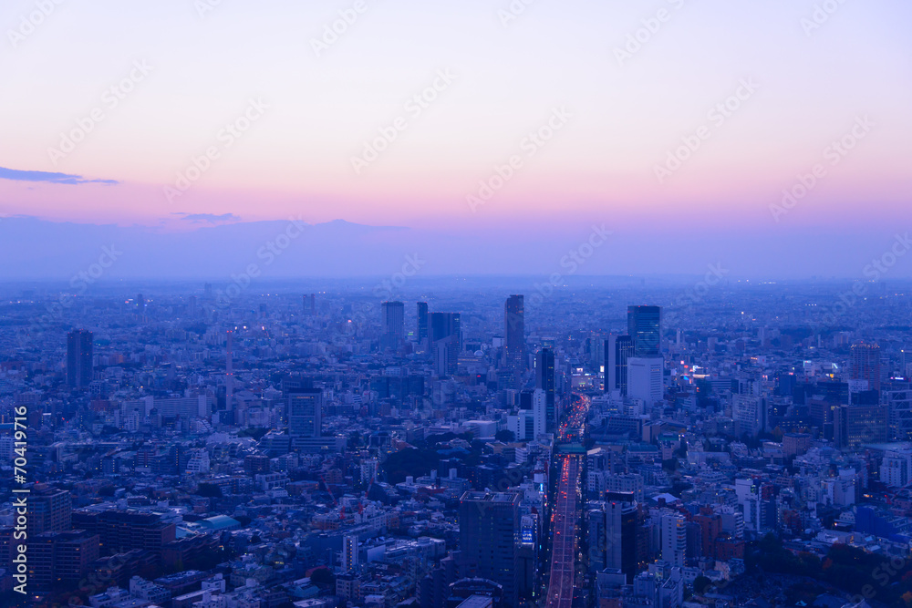 Tokyo in the twilight, direction to Shibuya, Shinjuku
