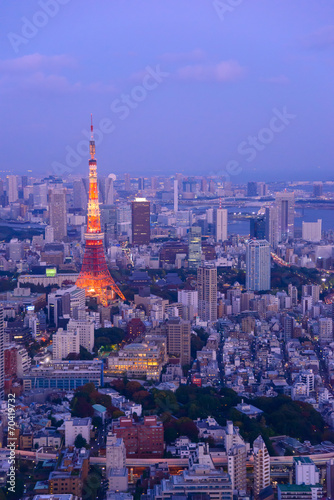 Tokyo in the twilight  direction to the Tokyo Tower and Shinagaw