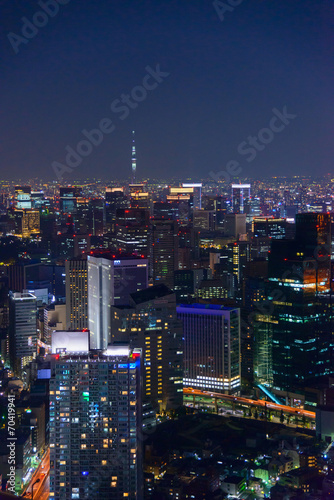 Tokyo in the twilight, direction to the Shimbashi, Ginza, Asakus