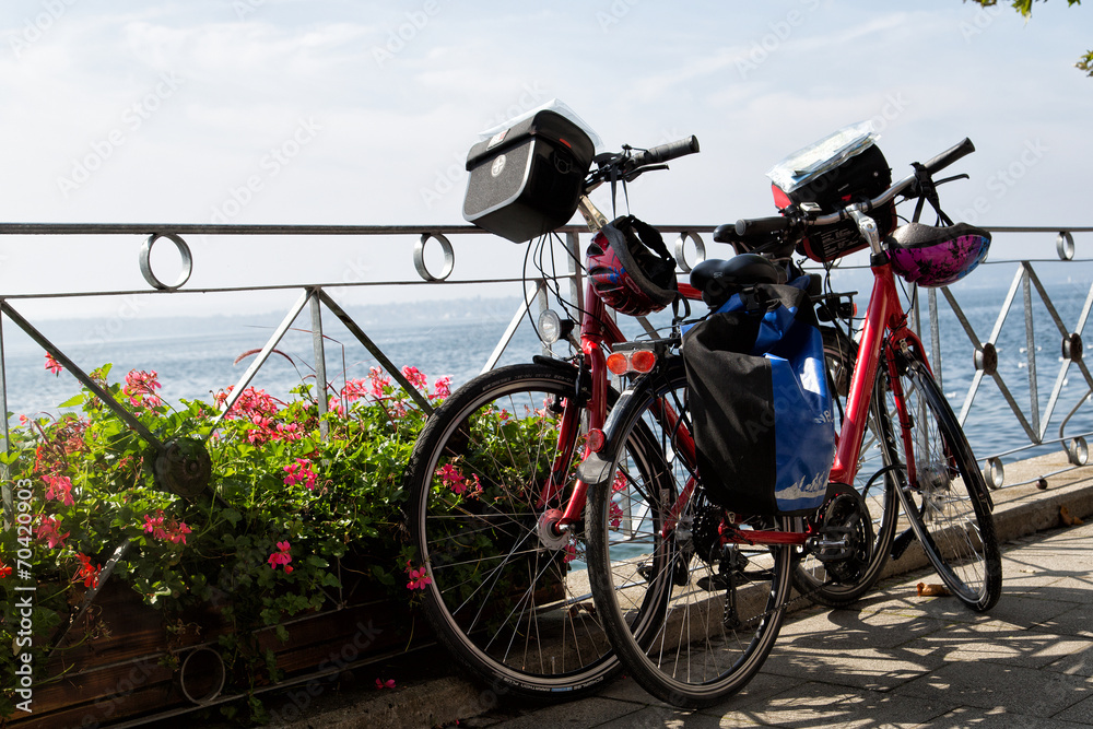 Fototapeta premium Bodensee