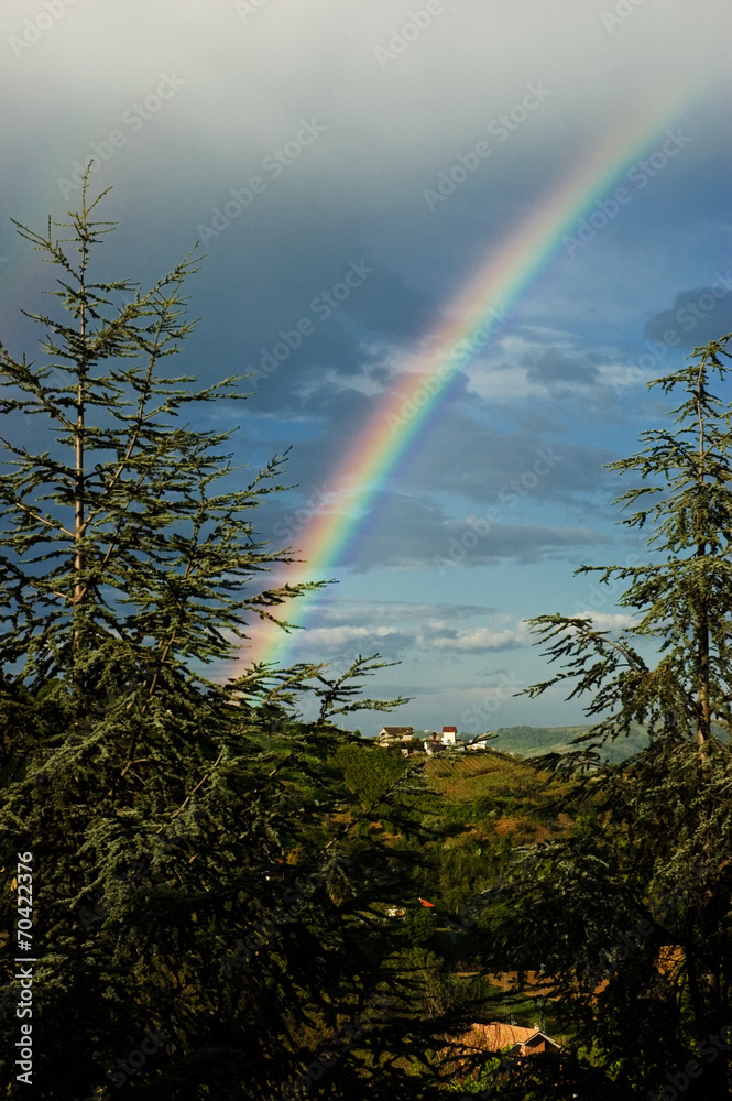 Rainbow among the firs Rainbow among the firs