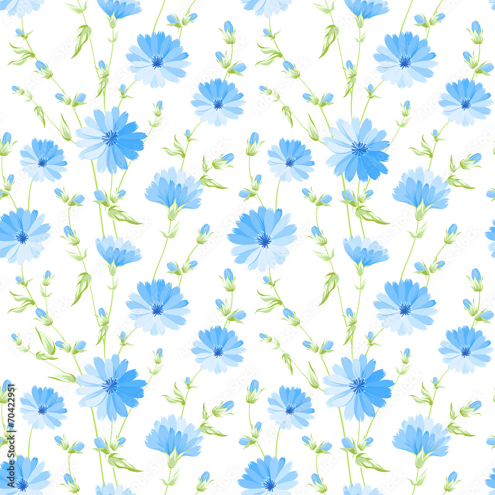 Chicory seamless pattern. Chicory seamless pattern.