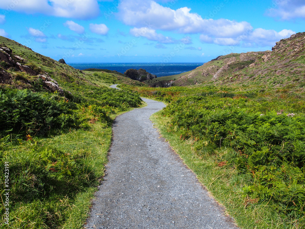 Path to the Kynance Cove, Cornwall