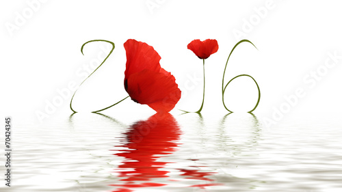 Happy new year (Poppy)