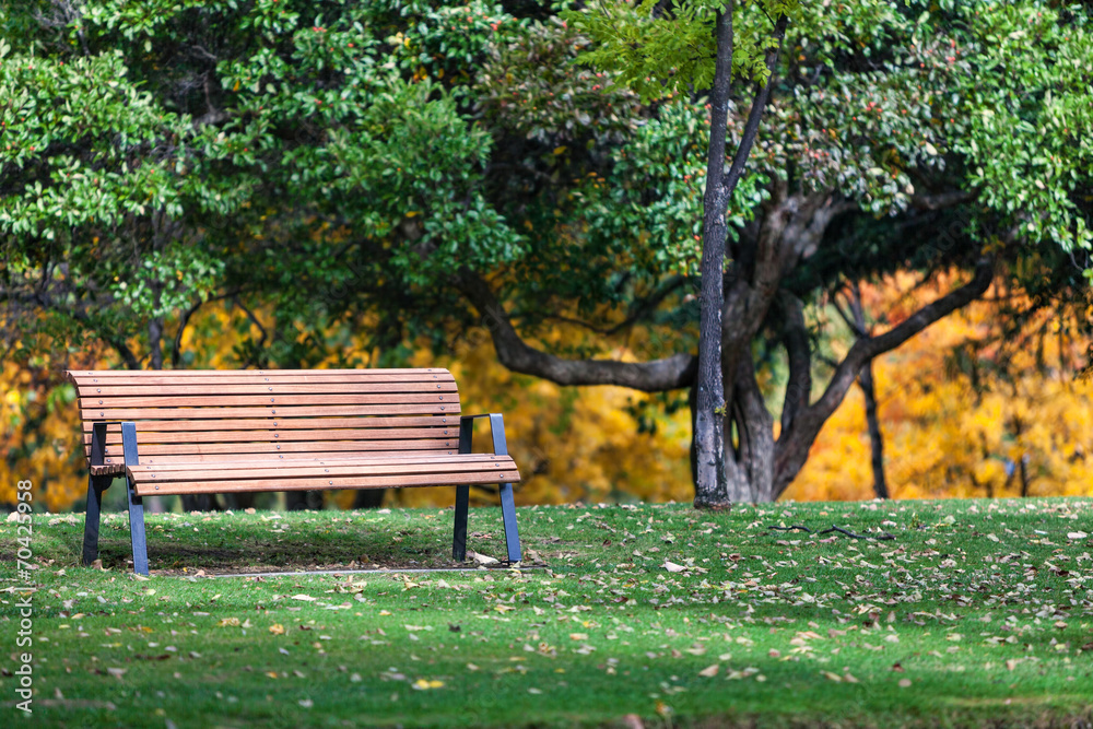 Bench in park