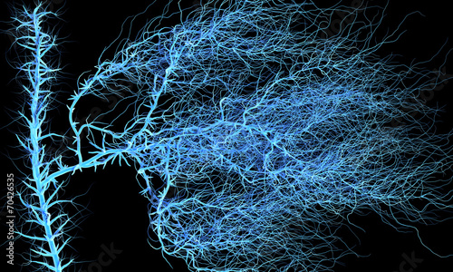 Nervous or blood system.  Medical illustration