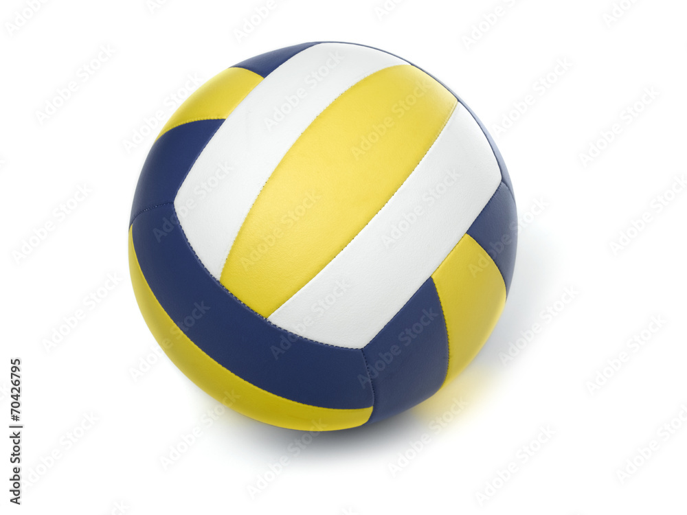 Volleyball Ball