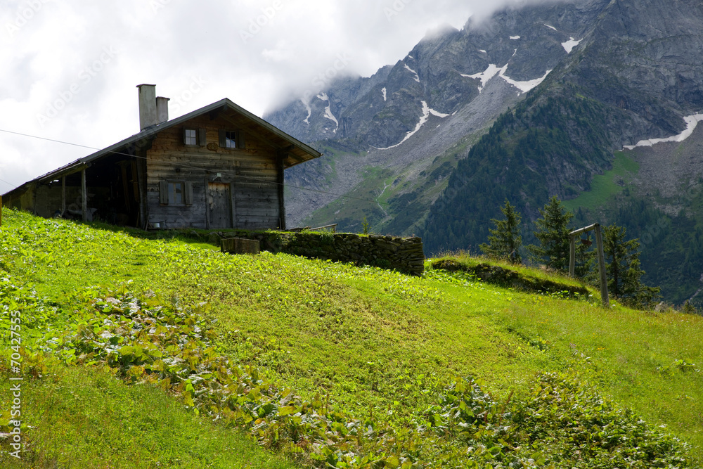 Fototapeta premium Stilluptal - Zillertal - Alpen