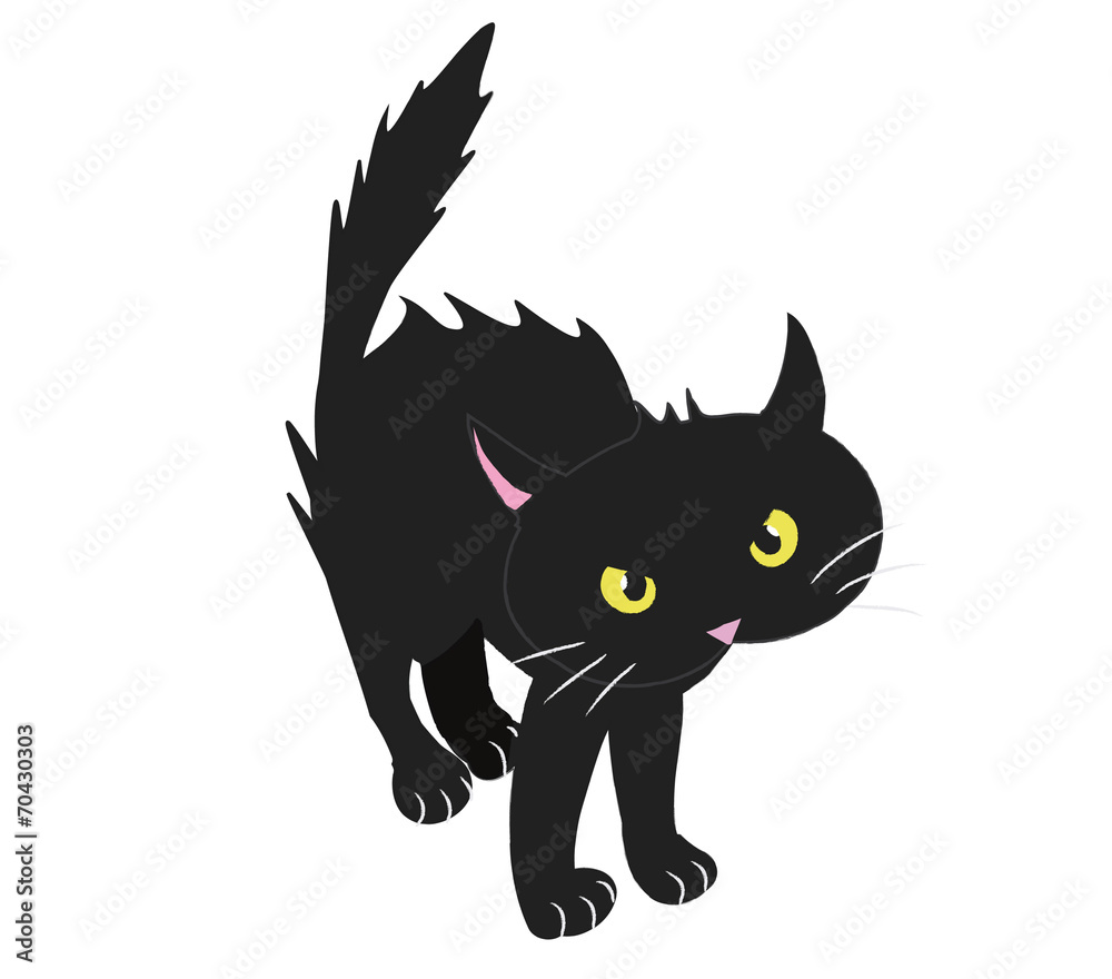 BRISTLED BLACK CAT