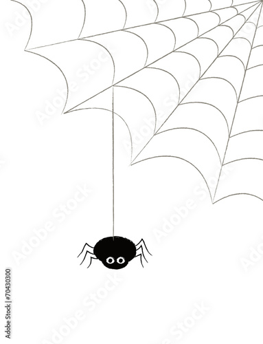 SPIDER HANGING FROM A COBWEB
