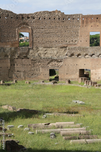 Canvas Print Palatine Hill