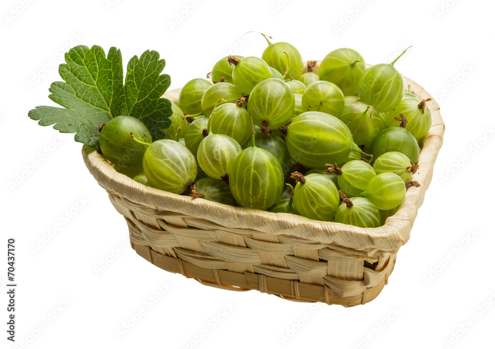 Gooseberry Gooseberry
