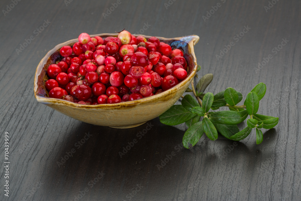 Cowberry Cowberry