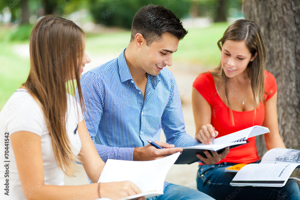 Fototapeta premium Happy students studying outdoor