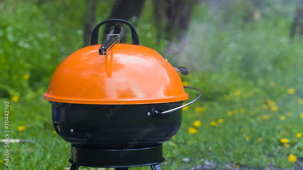 Barbeque grill on a grass in the park Barbeque grill on a grass in the park