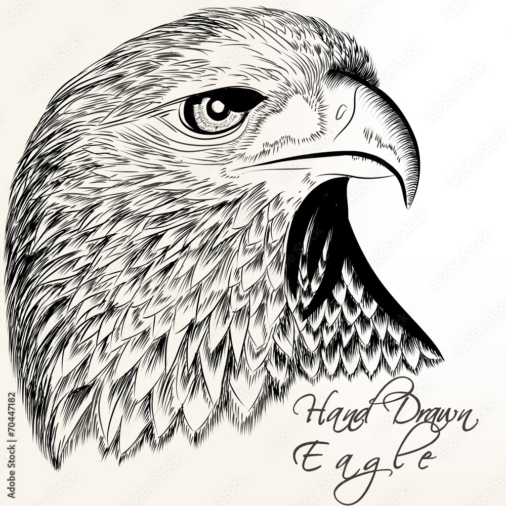 Naklejka premium Hand drawn vector eagle close up