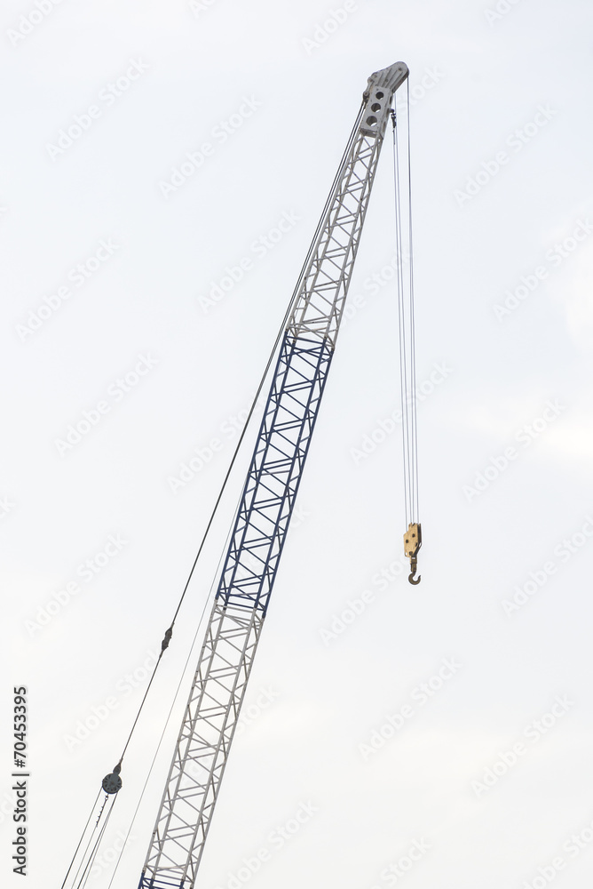 Working crane Working crane