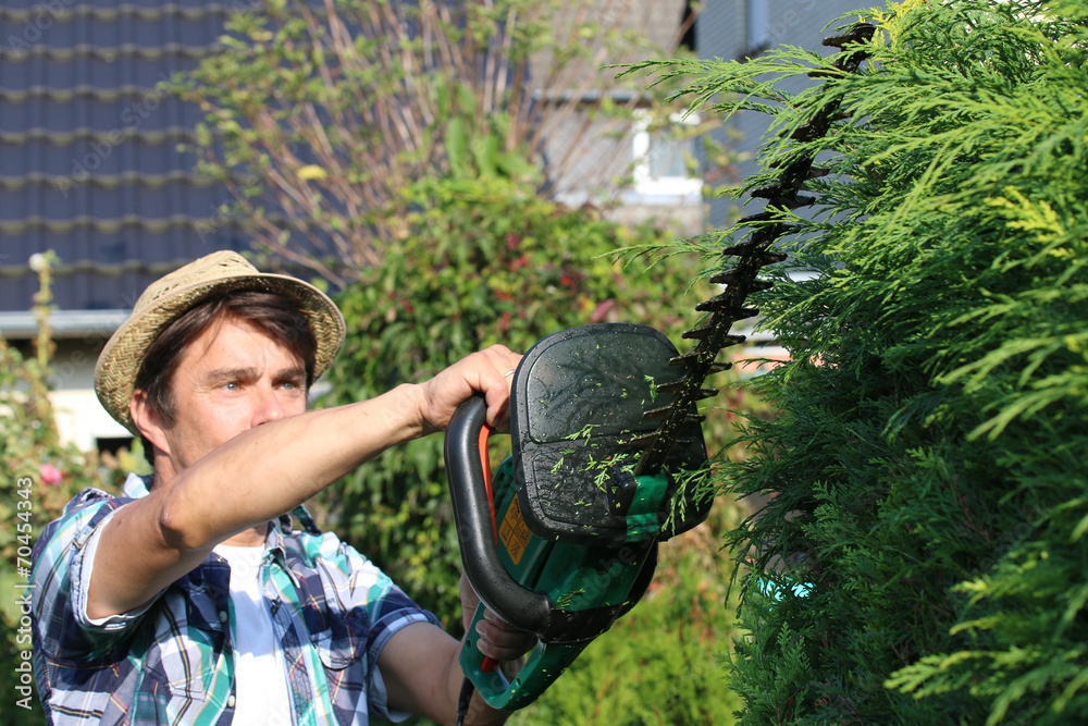 Gärtner mit Hut beim Schneiden der Hecke Stock Photo Adobe Stock