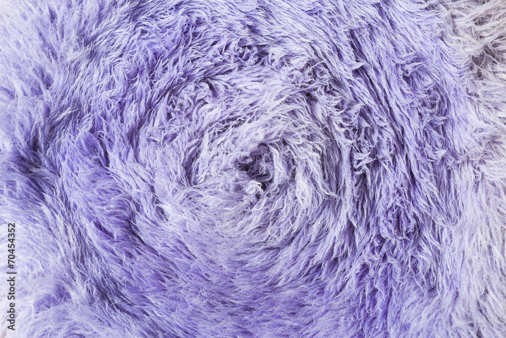 Fototapeta premium Purple buffing pad