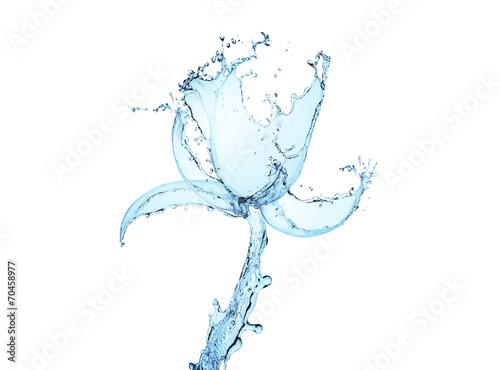Water splash in the form of a flower, isolated on white