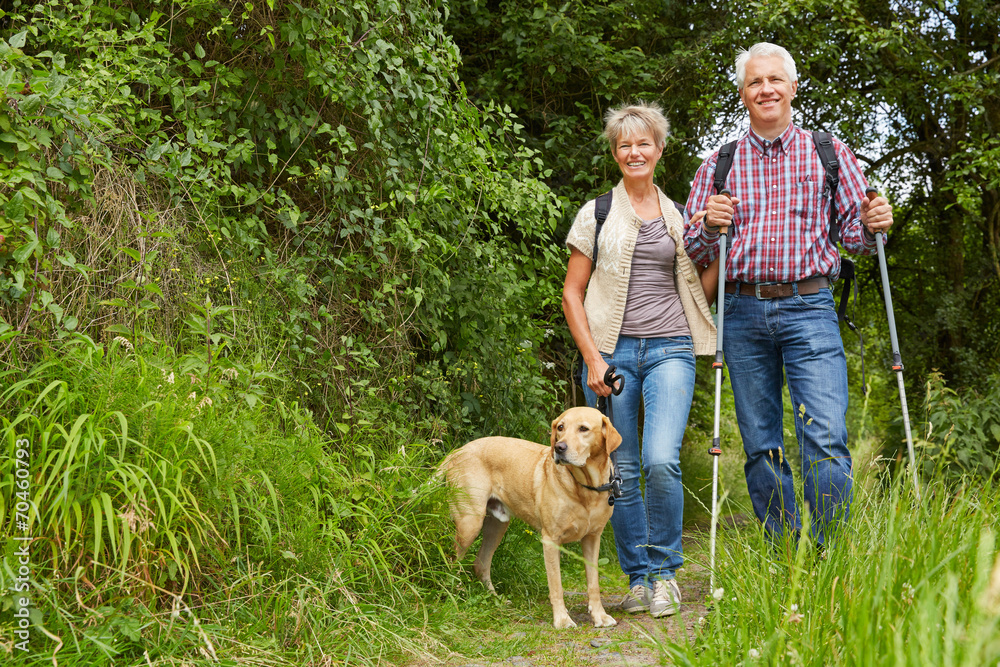 Paar Senioren wandert mit Hund