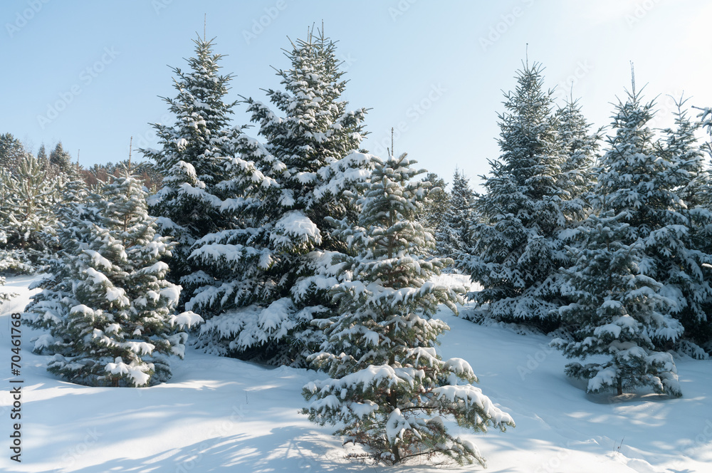 Obraz premium landscape
