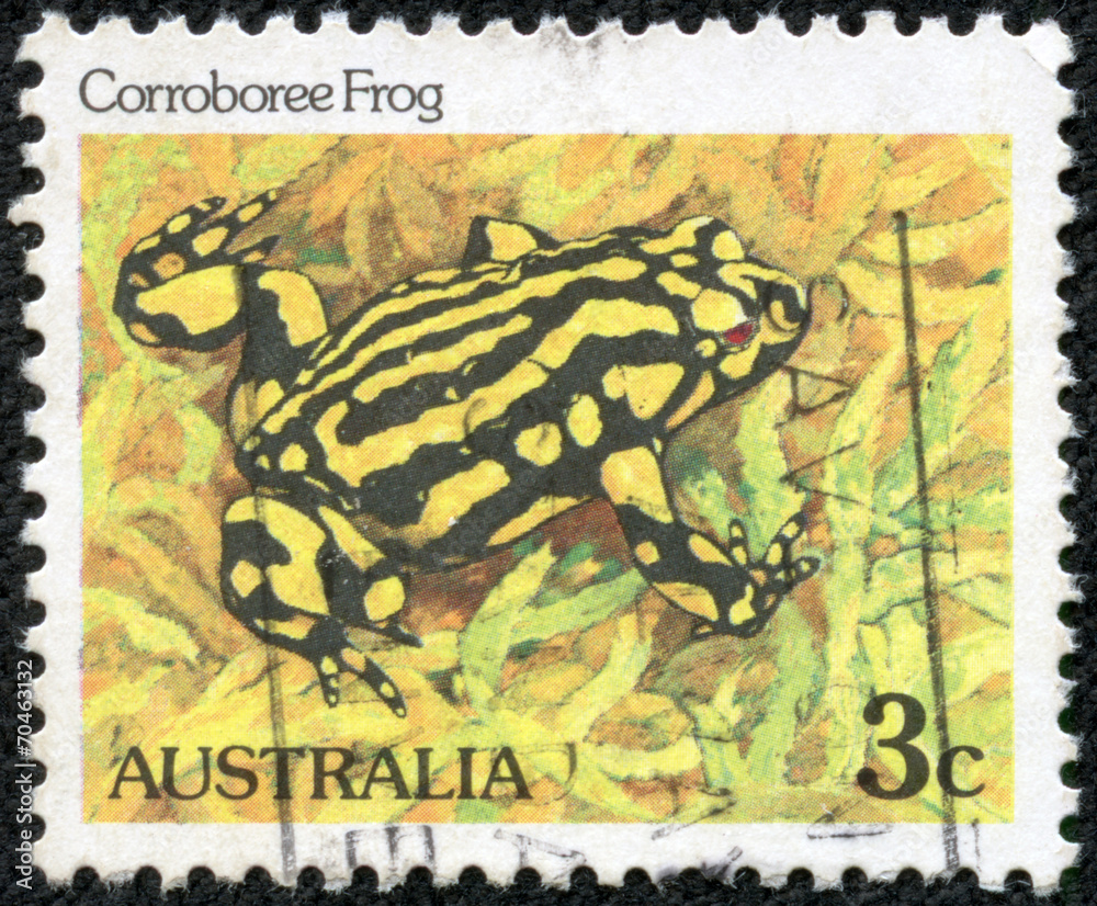 stamp printed in Australia shows a Corroboree frog