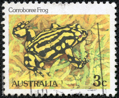 Obraz na płótnie stamp printed in Australia shows a Corroboree frog w salonie