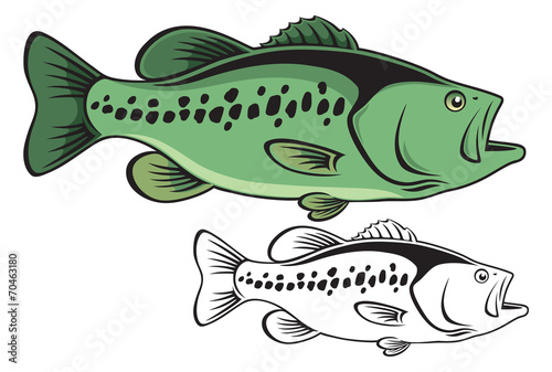 largemouth bass
