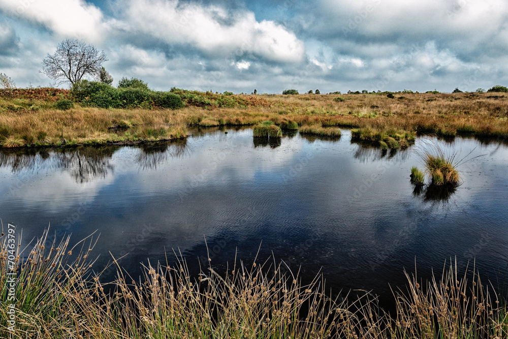 Moor3
