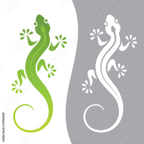 Lizard