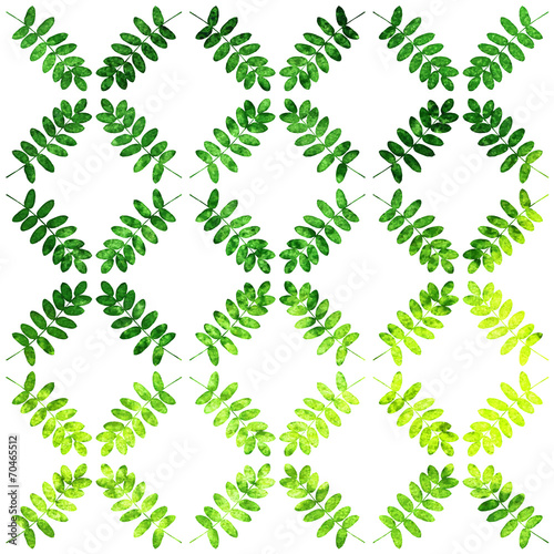 Leaves background