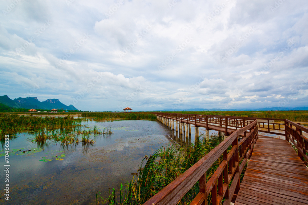 Wooden pavilion and wooden bridge in lotus lake, Samroiyod natio