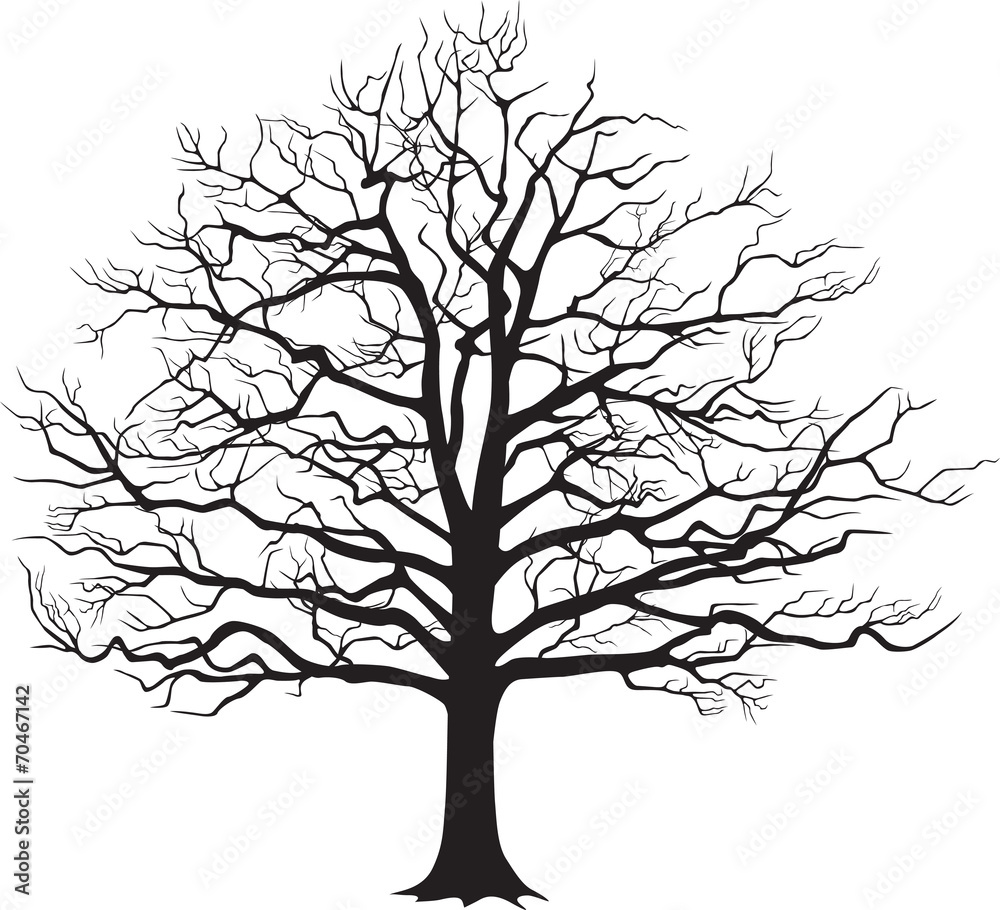 Black silhouette bare tree . Vector illustration